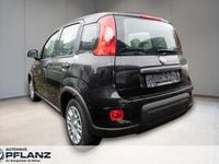 Neu Fiat Grande Panda 69 PS (50 kW) 2025 Schwarz Kleinwagen