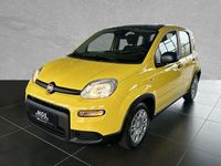 Gebraucht Fiat Panda 69 PS (50 kW) 2024 Gelb Kleinwagen
