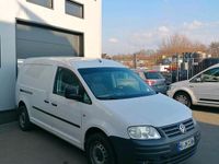 Second-hand VW Caddy Maxi 105 CP (77 kW) 2009 Alb Monovolum
