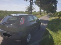 gebraucht Fiat Punto Evo 