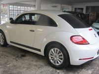 gebraucht VW Beetle BMT Basis