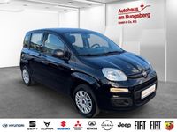 Gebraucht Fiat Panda Easy 69 PS (50 kW) 2020 Schwarz Kleinwagen