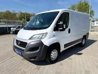 Gebraucht Fiat Ducato 116 PS (85 kW) 2016 Weiß Van