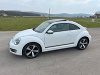 gebraucht VW Beetle 1.4 TSI CUP CUP