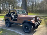 Gebraucht Jeep CJ 150 PS (110 kW) 1977 Braun SUV