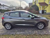 Gebraucht Ford Fiesta Trend 71 PS (52 kW) 2019 Grau Kleinwagen