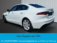 Gebraucht Jaguar XE SE 250 PS (183 kW) 2020 Fuji white Limousine