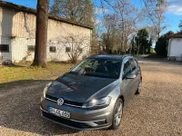 Gebraucht VW Golf VII Trendline 116 PS (85 kW) 2018 Grau Kombi