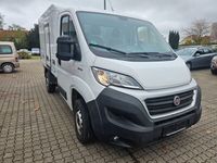 Gebraucht Fiat Ducato 120 PS (88 kW) 2021 Weiß Van