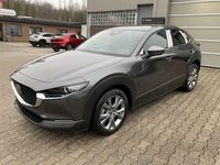 Neu Mazda CX-30 Exclusive 140 PS (102 kW) 2026 Machine gray SUV