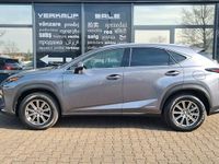 Gebraucht Lexus NX300h 197 PS (144 kW) 2021 Grau SUV