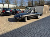 Gebraucht Alfa Romeo Spider 126 PS (92 kW) 1983 Braun Cabrio