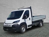 Neu Fiat Ducato 2025 Weiss Van