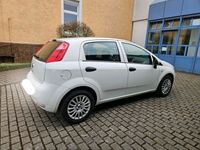 gebraucht Fiat Punto 1.2 Benzin