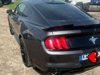 gebraucht Ford Mustang 2.3 Turbo Ecoboost