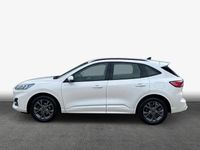Gebraucht Ford Kuga ST-Line 150 PS (110 kW) 2023 White platinum SUV