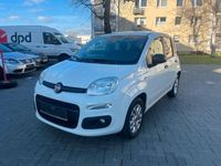 gebraucht Fiat Panda NewMore 1.2 KLIMA,TÜV,2018