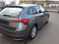 Neu Skoda Scala Selection 116 PS (85 kW) 2026 Grau Kleinwagen
