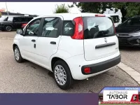 Neu Fiat Panda 69 PS (50 kW) 2025 Gelato weiß Kleinwagen
