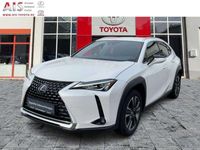 gebraucht Lexus UX 250h Style Edition ACC FLA LM LED