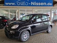 Gebraucht Fiat Panda 71 PS (52 kW) 2024 Schwarz Kleinwagen