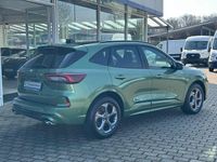 Gebraucht Ford Kuga ST-Line X 186 PS (136 kW) 2025 Grün SUV