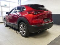 Gebraucht Mazda CX-30 Selection 122 PS (89 kW) 2020 Rot SUV