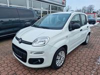 Gebraucht Fiat Panda Easy 69 PS (50 kW) 2017 Weiß Limousine