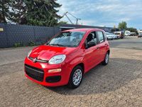 Gebraucht Fiat Panda Easy 69 PS (50 kW) 2020 Rot Kleinwagen