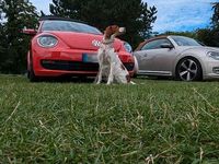 Gebraucht VW Beetle 160 PS (117 kW) 2013 Rot Kleinwagen