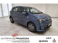 Neu Kia Picanto Vision 91 PS (66 kW) 2025 Grau Kleinwagen