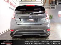 Gebraucht Ford Fiesta ST-Line 101 PS (74 kW) 2017 Grau Kleinwagen