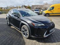 Gebraucht Lexus UX 250h 184 PS (135 kW) 2020 Graphitschwarz SUV