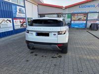 Gebraucht Land Rover Range Rover evoque Dynamic 140 PS (102 kW) 2013 Weiß SUV