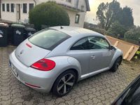 gebraucht VW Beetle The 1.2 TSI BlueMotion Technologie Design