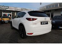 Gebraucht Mazda CX-5 150 PS (110 kW) 2019 Perlmutt (metallic) SUV