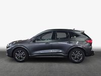 Gebraucht Ford Kuga ST-Line 151 PS (111 kW) 2025 Grau SUV