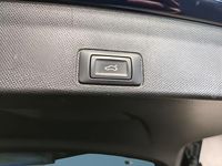 Second-hand Cupra Terramar 150 CP (110 kW) 2025 Albastru SUV