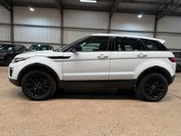 Gebraucht Land Rover Range Rover evoque SE 150 PS (110 kW) 2019 Weiß SUV