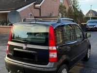 Gebraucht Fiat Panda 60 PS (44 kW) 2010 Kleinwagen