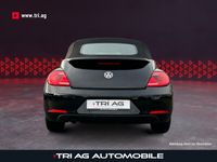 gebraucht VW Beetle Cabriolet Basis BMT