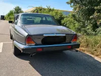 Gebraucht Jaguar XJ12 296 PS (217 kW) 1985 Grau Limousine