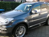 Gebraucht SsangYong Rexton 178 PS (130 kW) 2017 Grau SUV