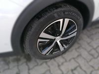 Gebraucht Peugeot 5008 GT 177 PS (130 kW) 2022 Weiß Van / Kleinbus