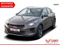 Gebraucht Kia XCeed Vision 140 PS (102 kW) 2020 Braun SUV