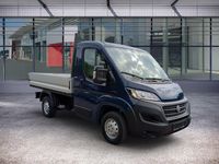 Gebraucht Fiat Ducato 33 S 120 PS (88 kW) 2020 Imperial blau Van