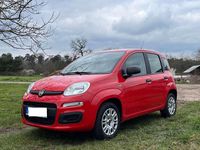 Gebraucht Fiat Panda Easy 69 PS (50 kW) 2018 Rot Kleinwagen