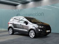 Gebraucht Ford Ecosport Titanium 125 PS (91 kW) 2020 Grau SUV