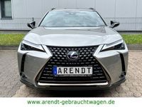 gebraucht Lexus UX 250h Hybrid*LED/SHZ/RFK/PDC/GRA/Virtl.Cop*