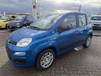 Neu Fiat Panda 69 PS (50 kW) 2025 Italia blau Kleinwagen